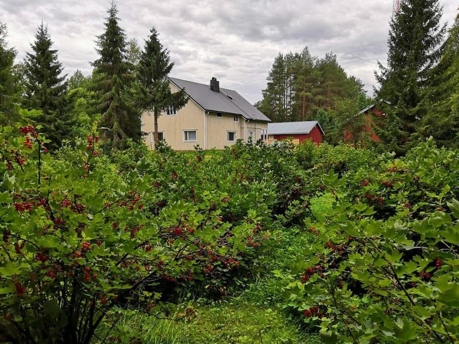 Koivu Mukava Mummonmoekki Maaseudun Rauhassaヴィラ エクステリア 写真